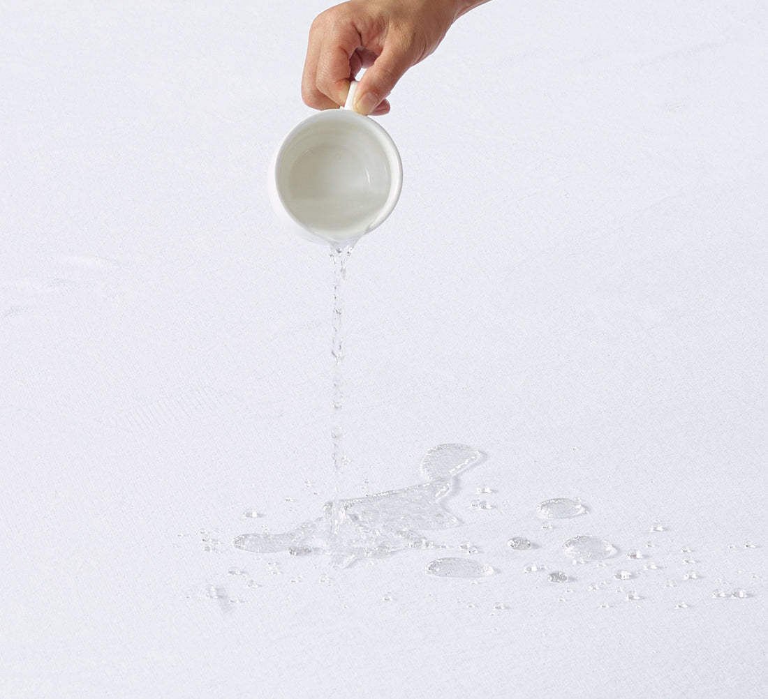 Casaluna Protector Fitted Sheet