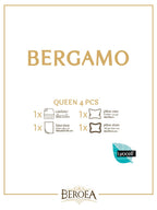 Bergamo Lyocell Printed Solid Comforter set Queen size 4 PCS