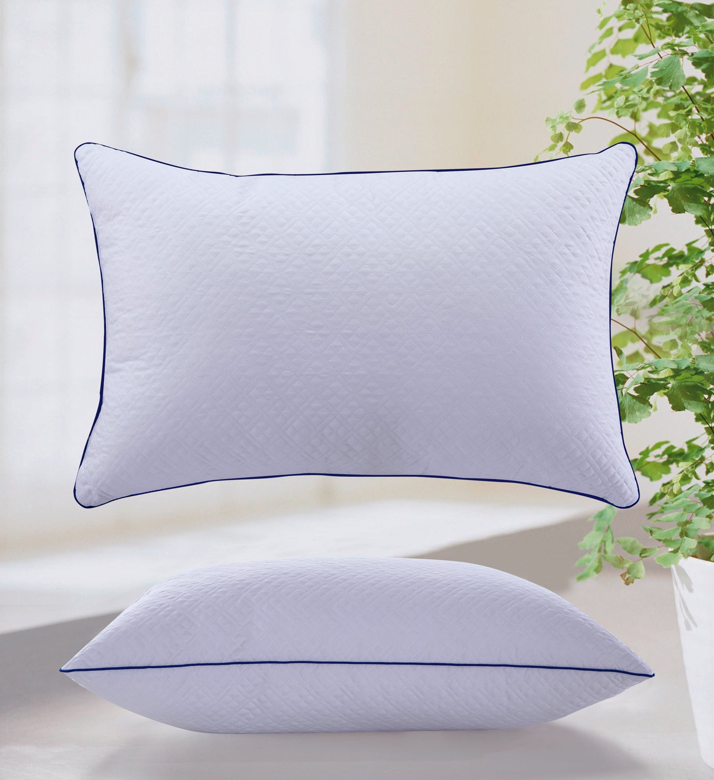 Sleep Well Pillow with Medium Hardness — box contents