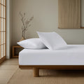 Elite Solid Fitted Sheet Set Cotton 100% 200 TC